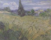 Vincent Van Gogh, Green Wheat Field with Cypress (nn04)